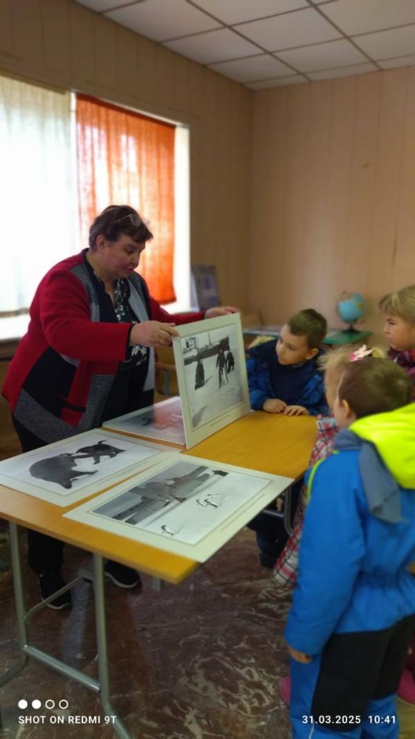 Здесь одни пингвины прежде жили
