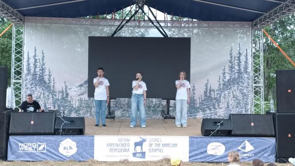 Камни Карельского Перешейка 2025