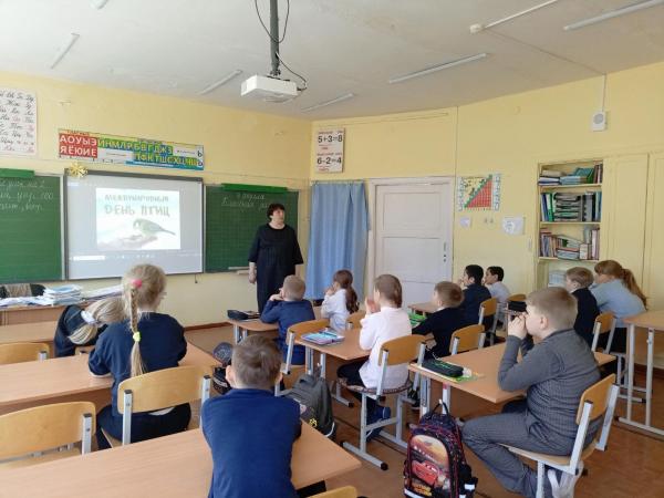 Познавательная программа: Кстати, о птичках